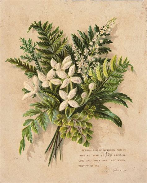Free Vintage Clip Art Bouquet With Ferns The Graphics Fairy