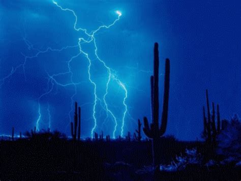 Animated Free  Night Landscape With Lightning Photo Pic Animated