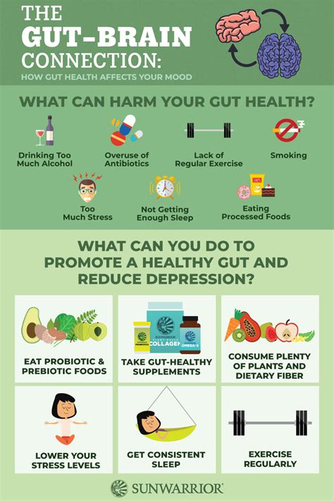 The Gut Brain Connection How Gut Health Affects Your Mood Brain
