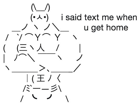 I Said Text Me When You Get Home Sign Bunny Know Your Meme