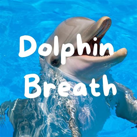 Dolphin Breath Before Testing — Powerful You