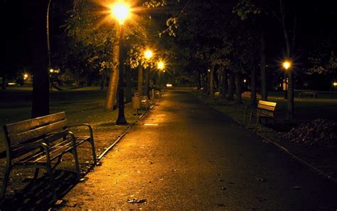 1920x1200 city night park benches wallpaper coolwallpapers me