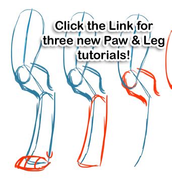 How to draw a cat step by step from front view in 4 versions will be described in this article! Anthro Drawing at GetDrawings | Free download