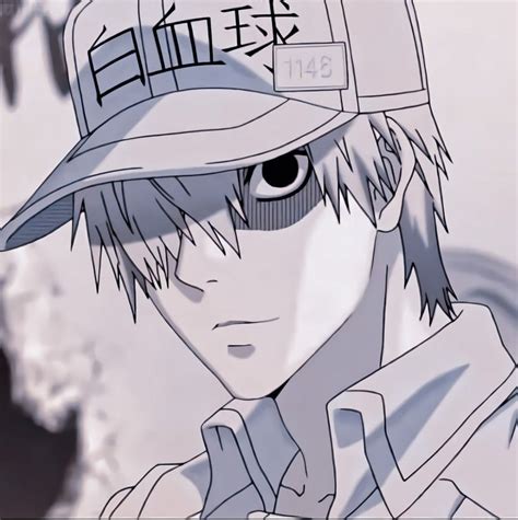 White Blood Cell From Cells At Work Me Me Me Anime Anime Guys Manga Anime Work Profile