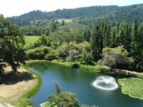 15 Things To Do In Calistoga California With Suggested Day Tours