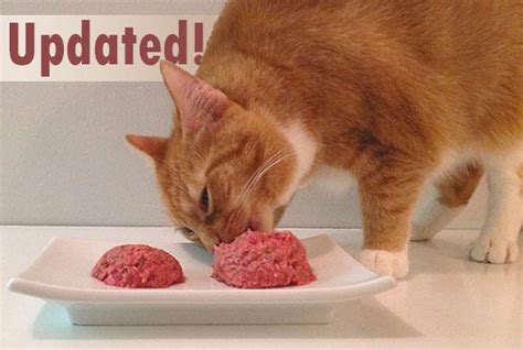 How to make raw cat food without a grinder! Homemade cat food recipe for urinary crystals ...