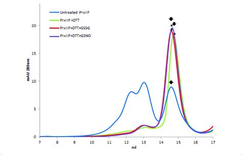 Elution Profile After Size Exclusion Chromatography Through