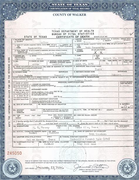 official birth certificate templates best professionally designed templates