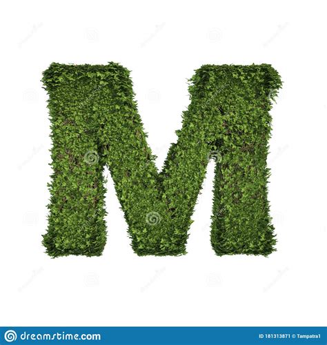 Ivy Plant With Leaves Green Creeper Bush And Vines Forming Letter M