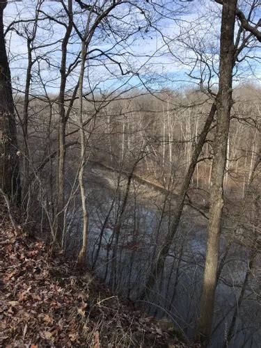 Best Hikes And Trails In Salamonie River State Forest Alltrails