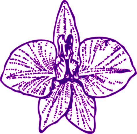 Purple Orchid Clip Art At Vector Clip Art Online Royalty