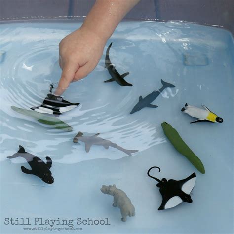 Water Play Sorting Land And Water Animals Still Playing School