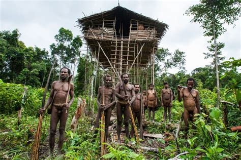 Meet Papua Korowai Tribe Tree House I Indonesia Impression