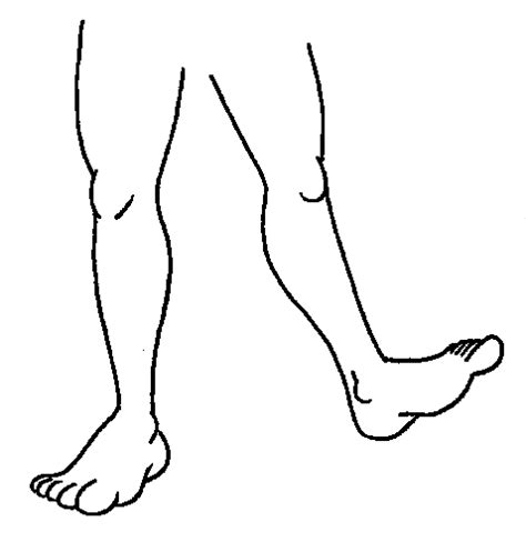 Legs Clipart Clipground
