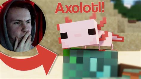 Axolotl Saved Me Minecraft Animation Reaction By Cobe Studio Youtube