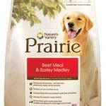 Maybe you would like to learn more about one of these? Nature's Variety Dog Food Recall July 2012