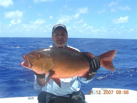 135kg Two Spot Red Snapper World Record All Tackle On Baiting 24 12