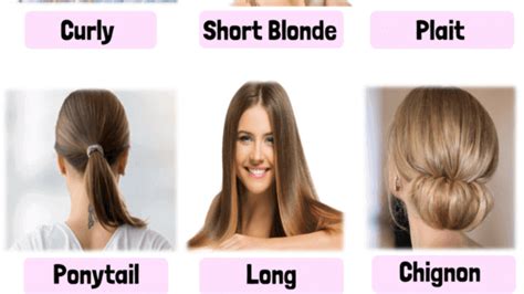 29 Types Of Haircuts For Long Hair With Names