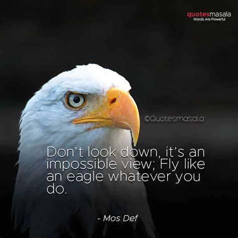 200 Inspirational Eagle Quotes Live Life With Attitude Positive