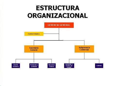 Bases De La Estructura De La Organización