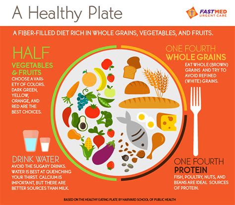 The Perfect Healthy Plate Of Food Infographic