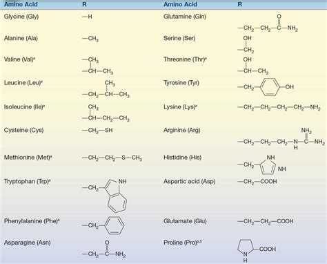 Amino Acids And Proteins Basicmedical Key