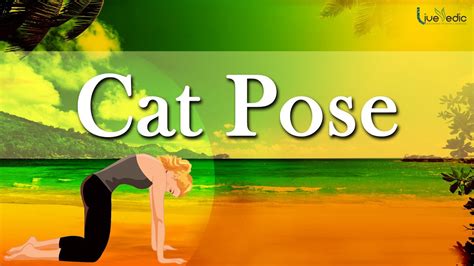 Cat Pose Marjaryasana Yoga For Women Youtube