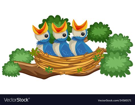 Hungry Chicks On Nest Royalty Free Vector Image