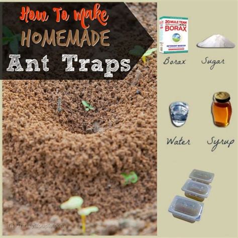 How To Make Homemade Ant Traps How To Make Homemade Ants Homemade