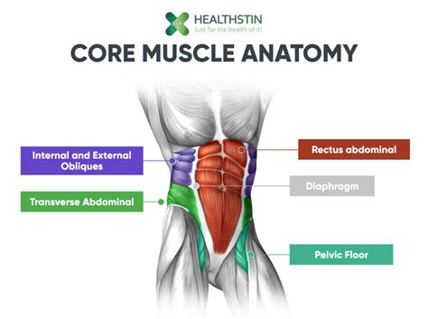 Guide To Engaging Your Core Muscles In A Seated Position Just For The