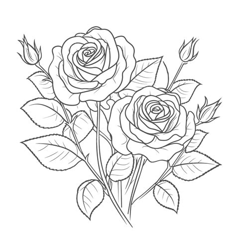Two Beautiful Roses To Color Outline Sketch Drawing Vector Rose