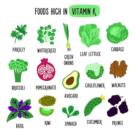 Alimentos Ricos En Vitamina K Ilustración Vectorial Con Alimentos