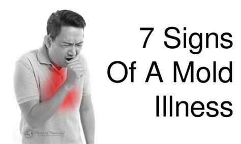 7 Signs Of A Mold Illness