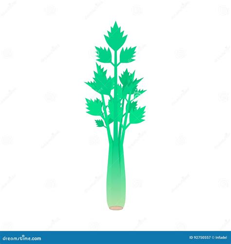 Celery Stem Isolated On White Background Stock Vector Illustration Of