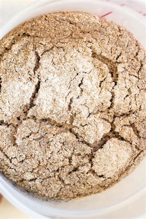 Rye Sourdough Starter Recipe King Arthur Flour