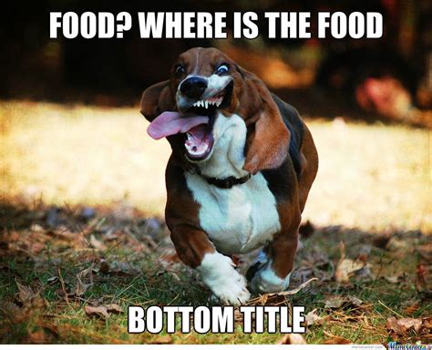Surprised Dog Meme Surprised Dog Meme Hungry Dog Hound