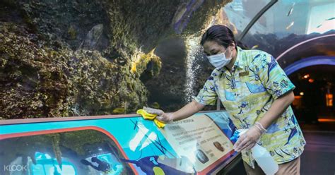Book Sea Aquarium Sentosa Singapore Ticket Online