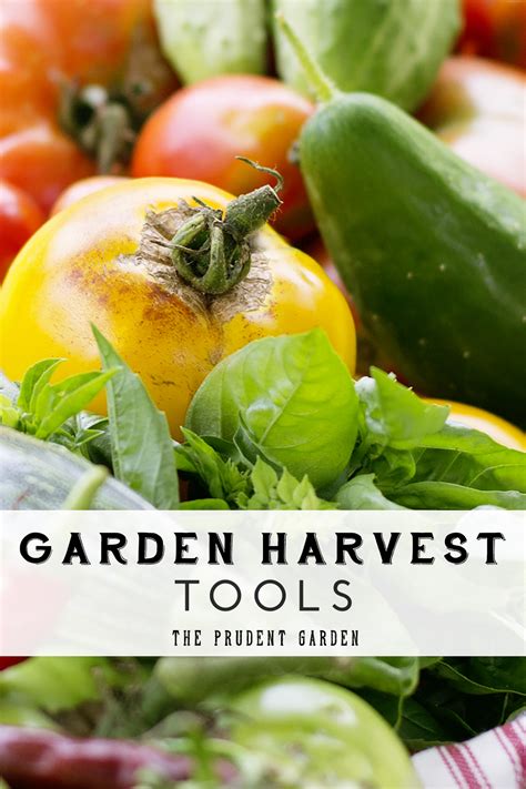 Garden Harvest Tools