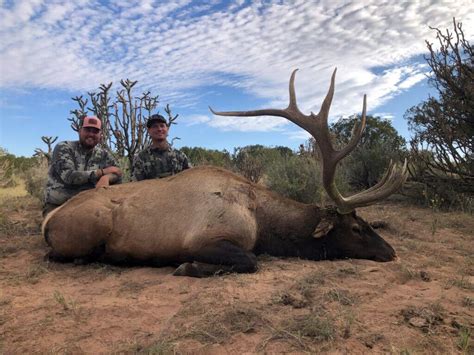 New Mexico Unit 17 Elk Hunt Worldwide Trophy Adventures