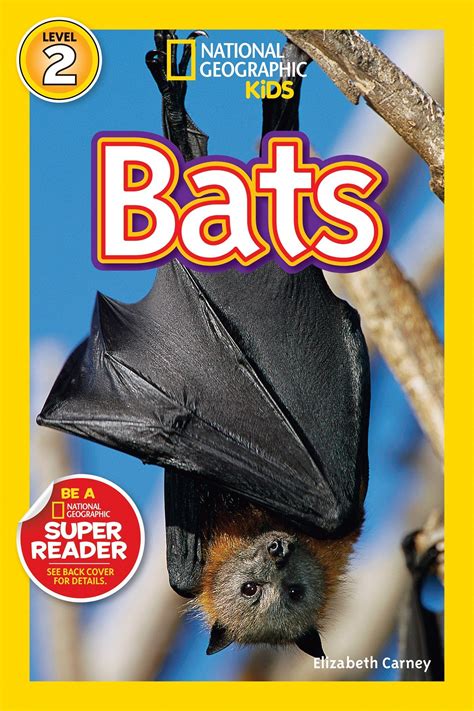 Favorite Bat Books For Kids Fantastic Fun And Learning