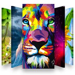 Des milliers de wallpapers, photos, images haute définition classées par catégories: 1 000 000 fonds d'écran HD 4k | HT Pratique
