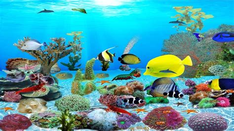 Download Animated Aquarium Wallpaper For Windows 7 Free