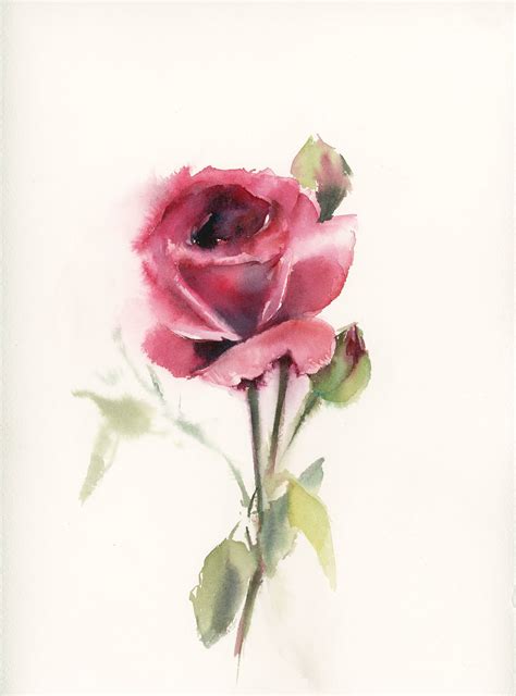 Rose Original Watercolor Painting Rose Watercolour Art By Canotstop On