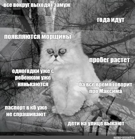 Create Meme Cat Depression Despair Cat Despair Pictures Meme
