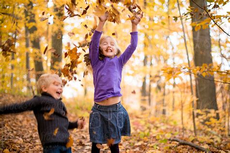 Kids Playing In Yellow Fall Leaves In Autumn By Stocksy Contributor
