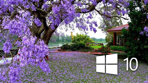 49 Purple Windows 10 Wallpaper On Wallpapersafari