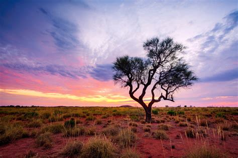 Should I Still Travel To Australia Your Bushfire Questions Answered