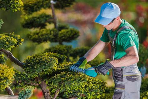Skilled Landscaping Contractor In Charlotte Nc 28273