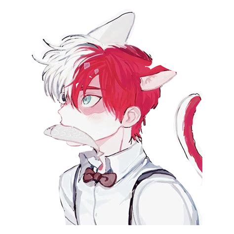 Neko Nekoboy Animeboy Anime Boy Catboy Cat Kitty