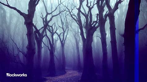 Mev And The Dark Forest Why We Need Privacy In Blockchain Blockworks